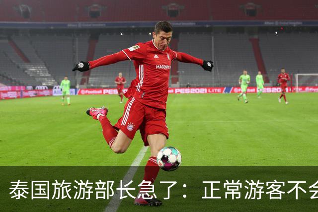 泰国旅游部长急了：正常游客不会被绑，出事的多是出境前就被骗过去的